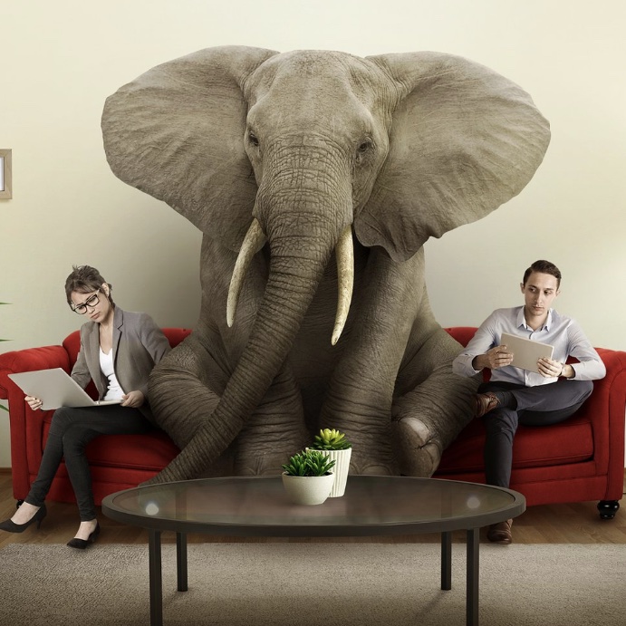 The elephant in the waiting room.