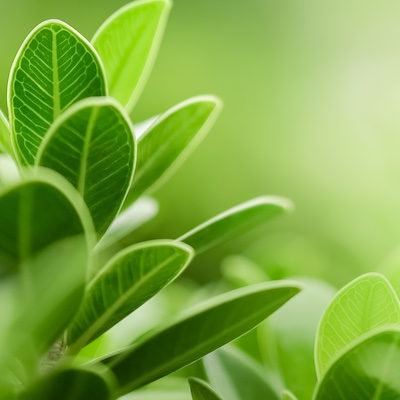 Your vote really does count.