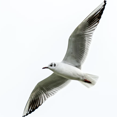 Hello and welcome to 2021