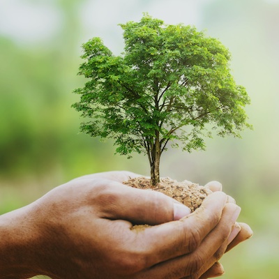 By George I think he's got it.